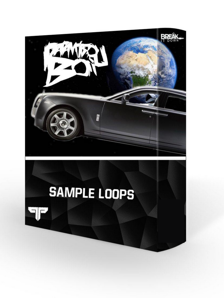 Nick Papz Sample Loop Pack